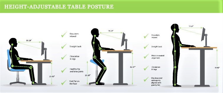 Sit Stand 3 Positions