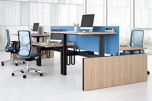 Corporate Sit Stand Desks