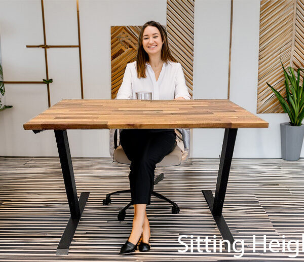 Real Wood Top Sit Stand Electric Desks