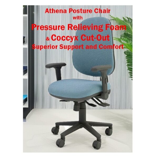 <h4>Athena Ergonomic Plus Task Chair – with Coccyx Cut Out and Pressure Relieving Foam