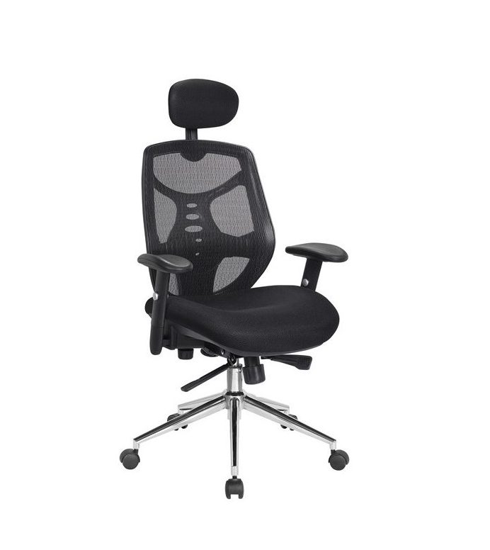 Polaris Ergonomic Executive Mesh Chair (Black)